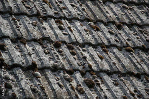 Close up of aged roofing tiles on old house in village. A lot of moss on tiled roof of hovel. Countryside scene