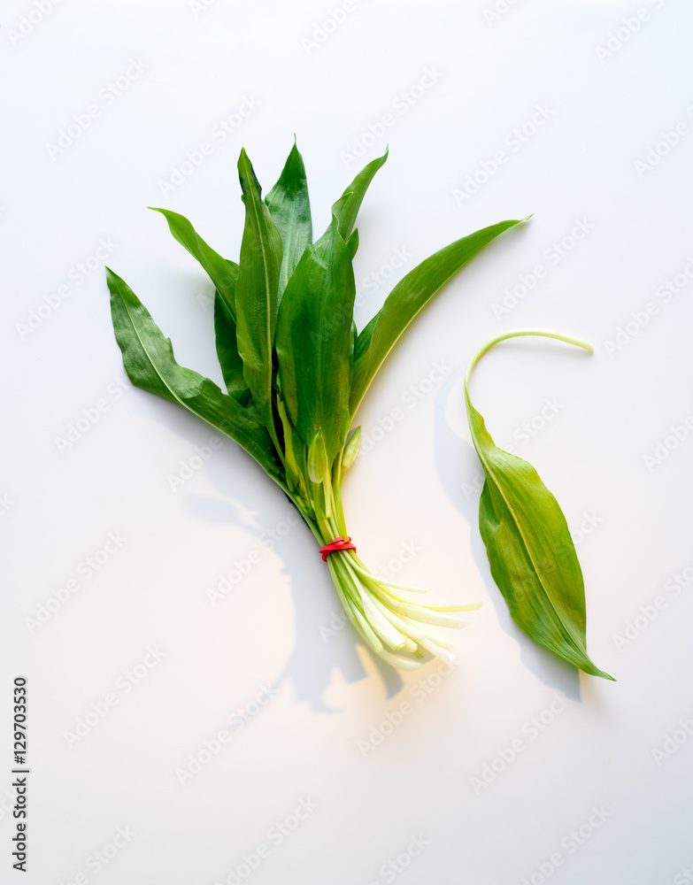 Fototapeta premium Fresh ramsons