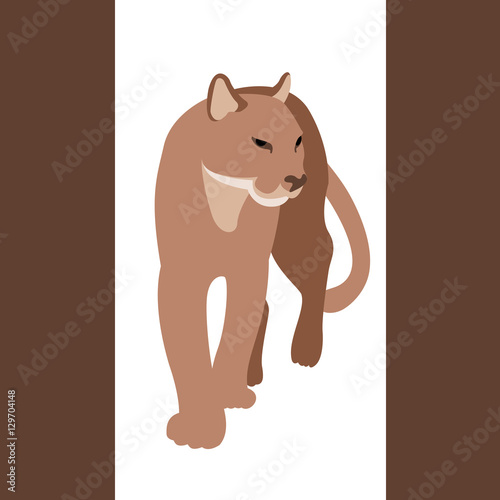 cougar vector illustration style Flat