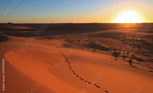 Beautiful sand dune in africa