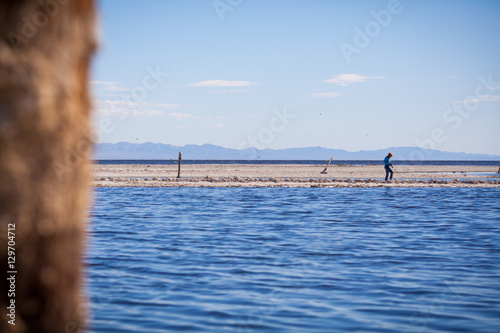 Person Walking by Salton Sea