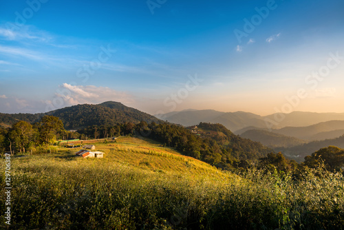 Mountain autumn landscape in evening and traditional houses ,Chiang mai , Thailand © jaboo_foto