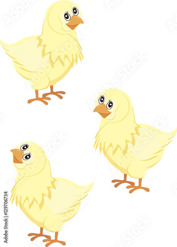 chickens