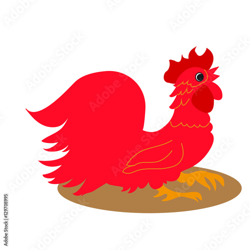 Red Rooster  a symbol of the new year.Year 2017 fire rooster.