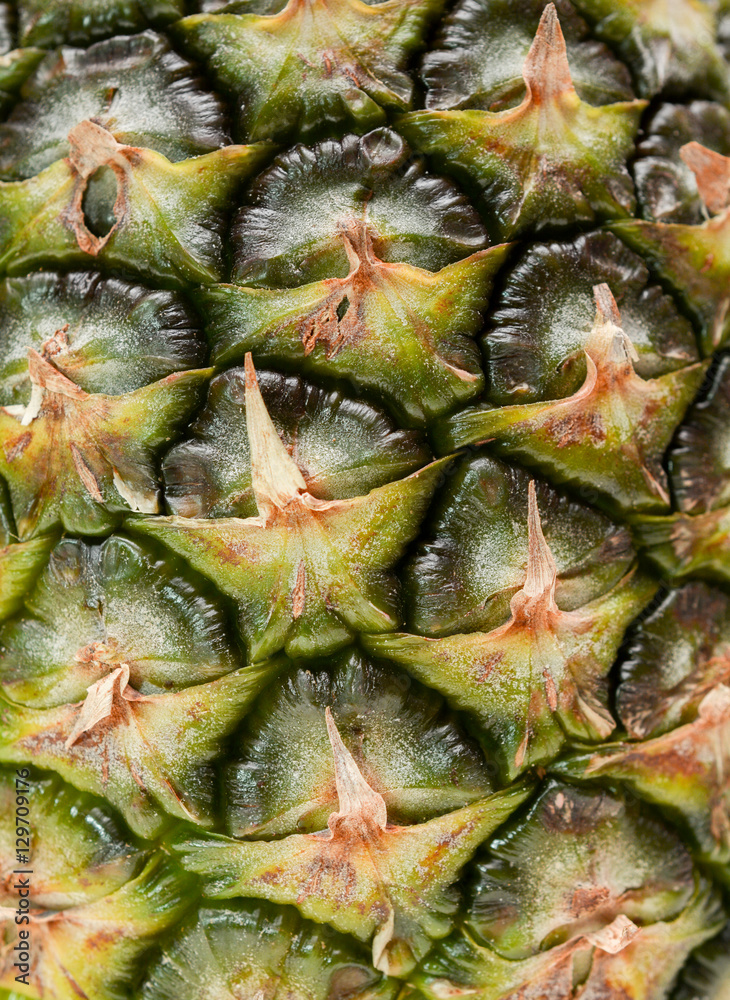 pineapple background pineapple background