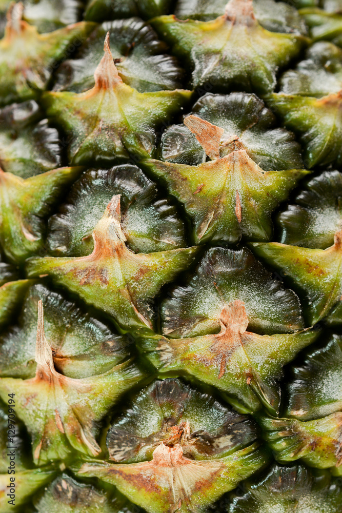 pineapple background pineapple background
