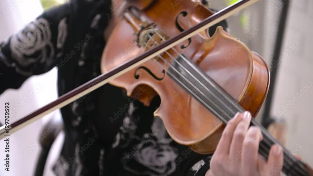 violin, cello, note, music, arkestr violin, cello, note, music, arkestr