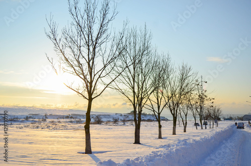 Wonderful winter trees in city on the background of sunrise © Nik Viatkin