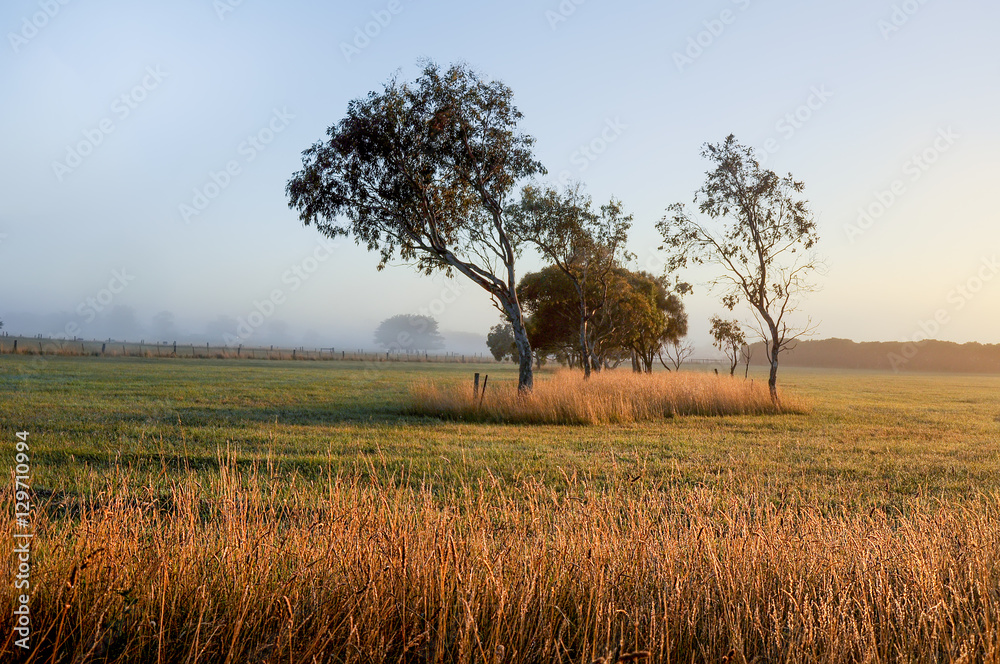 countryside of Australia