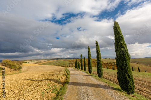 Tuscany landscape  with a little chapel of Madonna di Vitaleta  San Quirico d Orcia  Italy