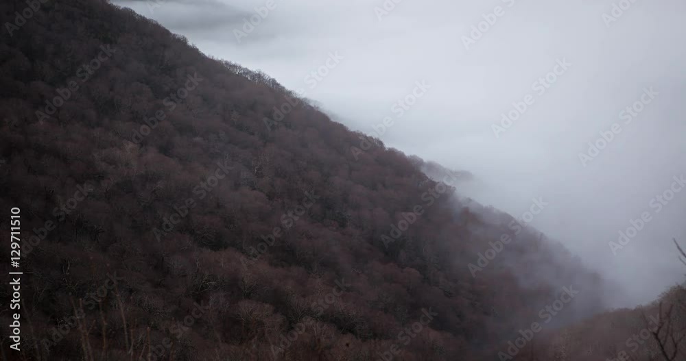 Timelapse clouds and shadows mixing in winter trees of Appalachian Mountains