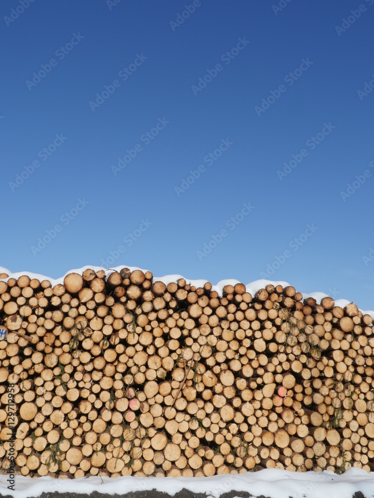 fire wood in winter outdoors