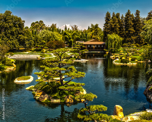 Japanse Garden and Teahouse photo