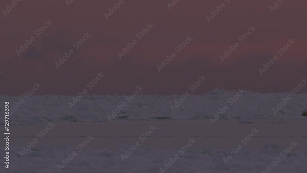 Red sky behind polar bear and cub in sea ice bergs Red sky behind polar bear and cub in sea ice bergs