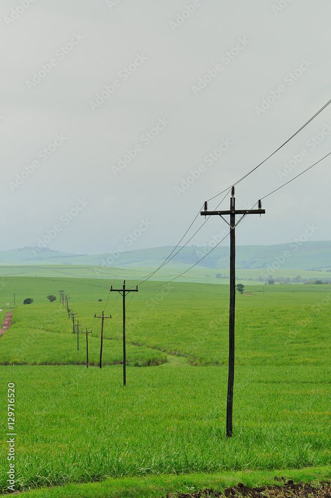 Power lines in a field next to a road