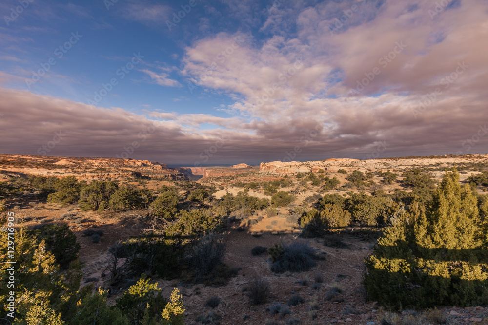 Scenic Canyonlands Landscape