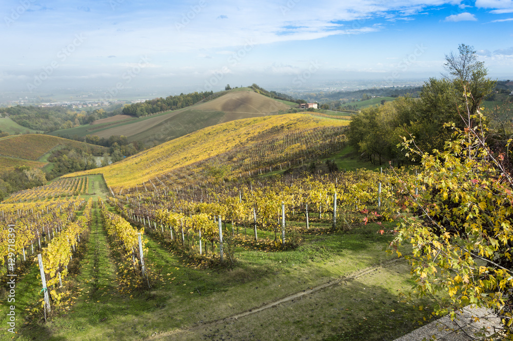 Countryside landscape with vineyards during fall season in rural Italy