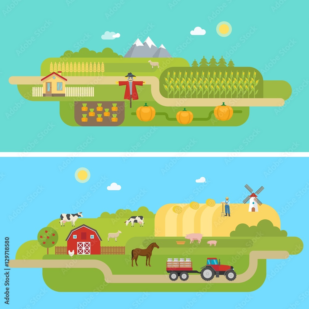 Summer Agricultural Landscapes