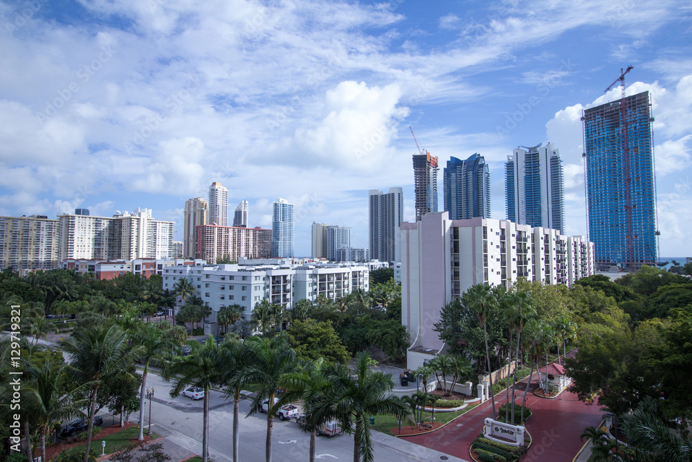 City view of skyscrapers in Sunny Isles with palms