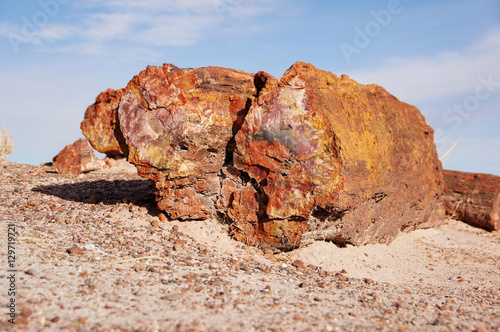 Petrified-Forest-National-Park, Arizona, USA