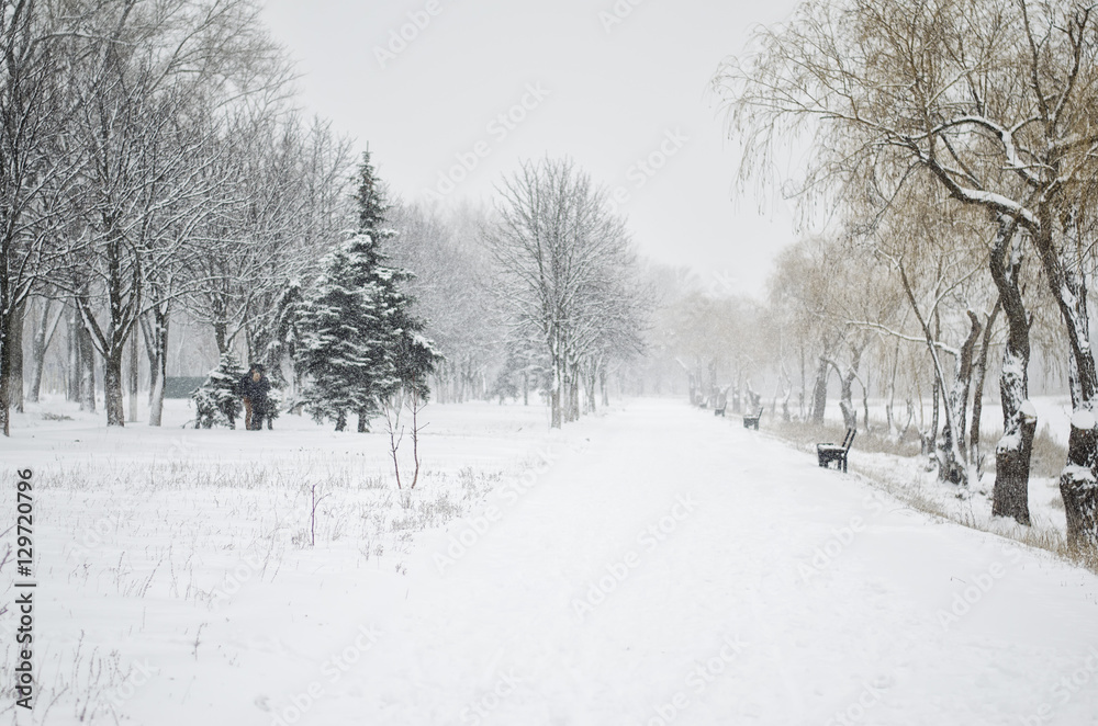 Snow in Central Park