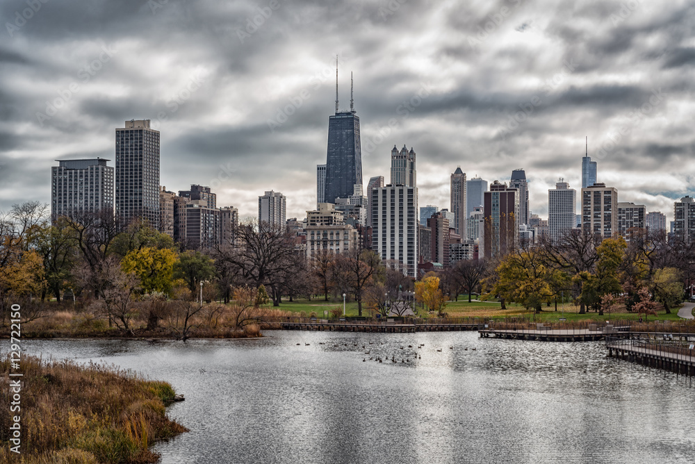 Chicago Skyline