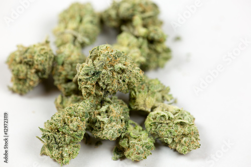 Close up of Cannabis bud on white background