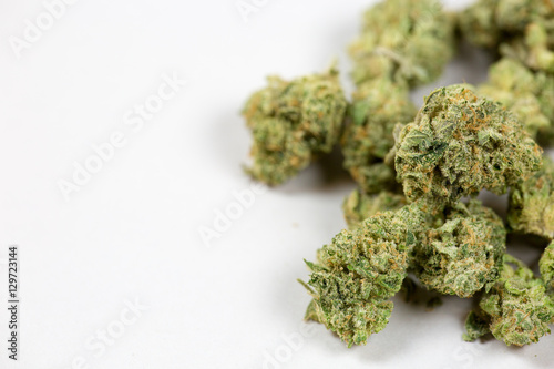 close up of marijuana bud on white background photo