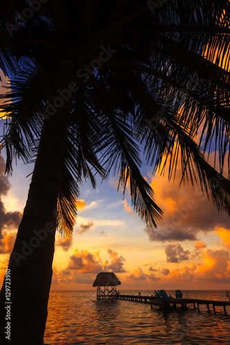 Belize Caye Caulker, Coconut Sunset