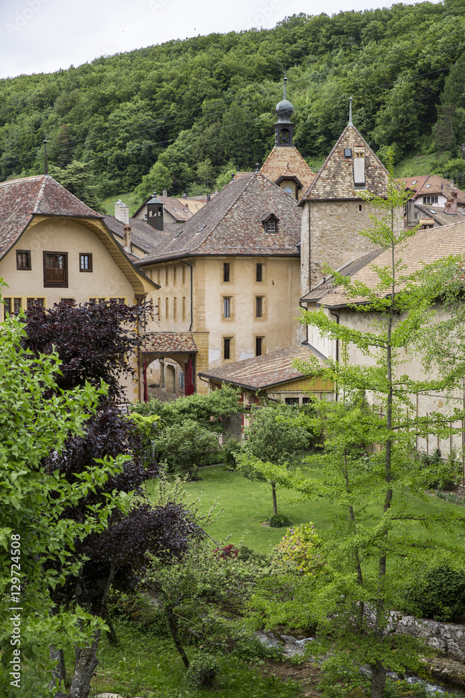 General vieuw of the mountain village of Romainmotier-Envy - Switzerland