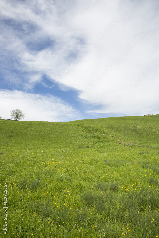 landscape of Jura mountain with blooming green meadow, Switzerland landscape of Jura mountain with blooming green meadow, Switzerland