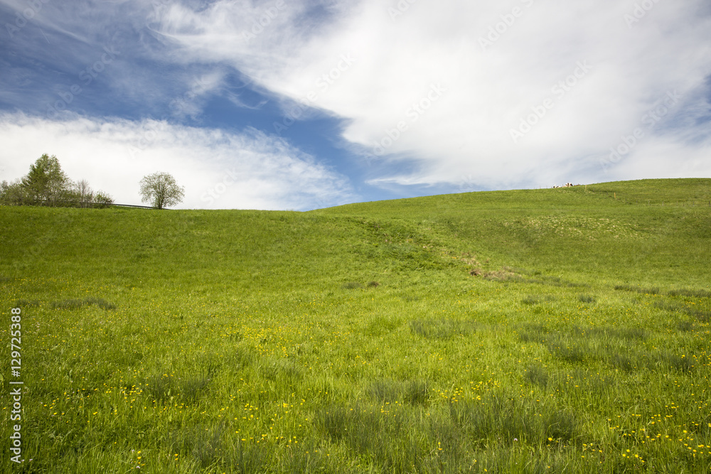 landscape of Jura mountain with blooming green meadow, Switzerland landscape of Jura mountain with blooming green meadow, Switzerland