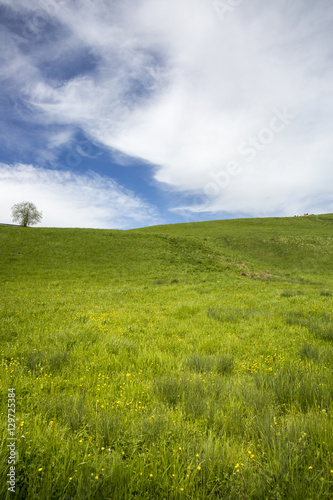 landscape of Jura mountain with blooming green meadow, Switzerland