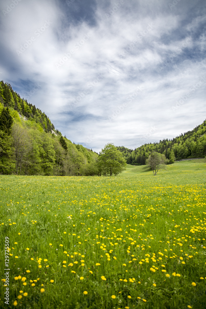 landscape of Jura mountain with blooming green meadow, Switzerland