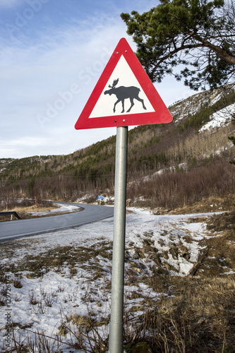 Norwegian elk warning road sign