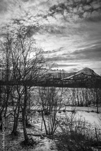 Norwegian landscape with snowy mountains in the winter, Nordland, Norway