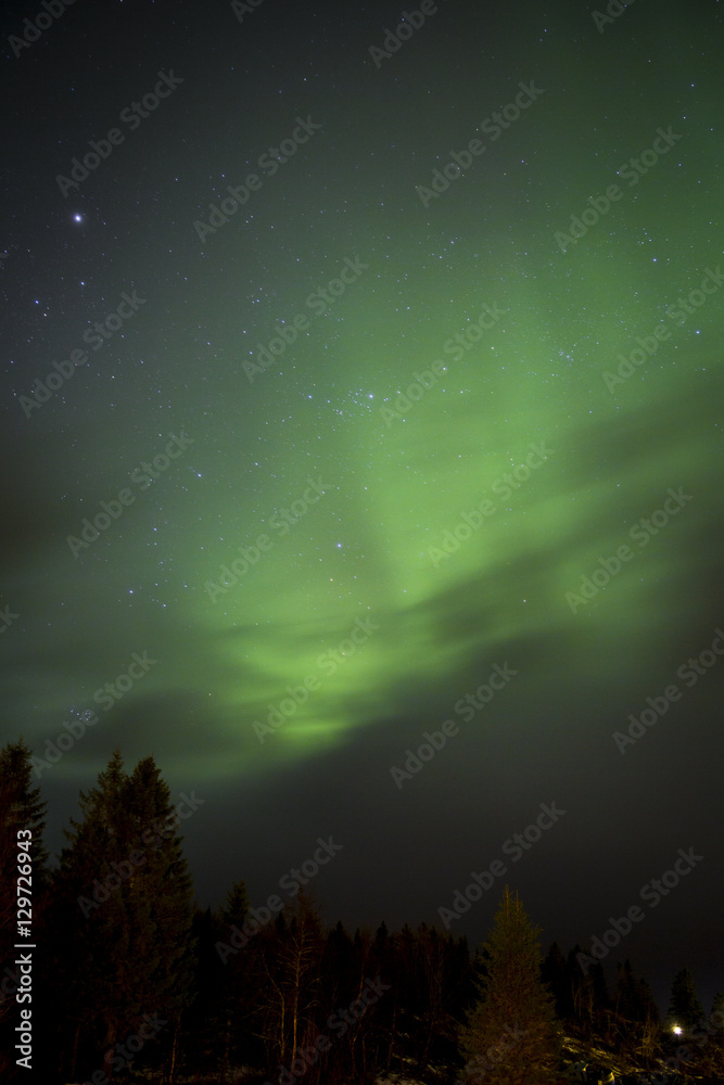 Green Northern light, Nordland, Norway