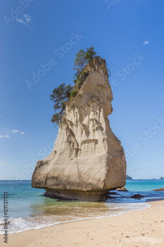 Lone bizarre rock on a beach