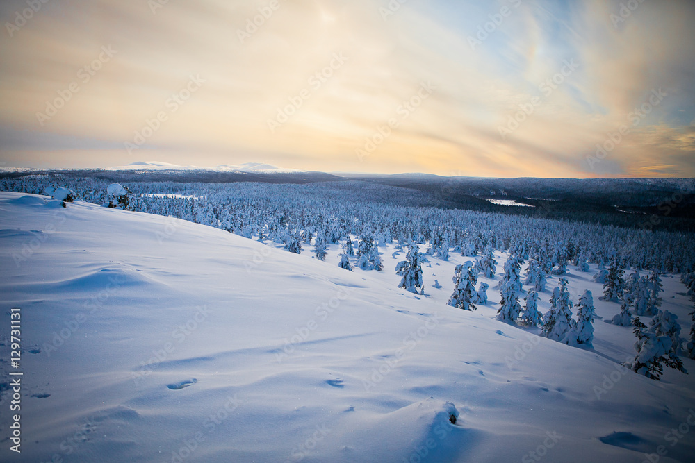 Winter Finnish snowy lanscape