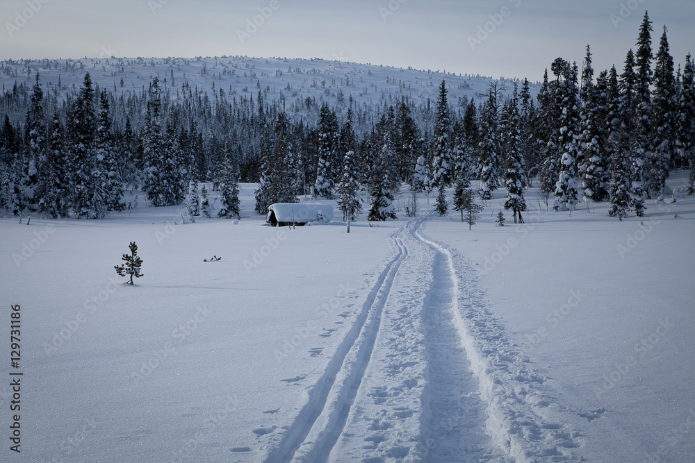 Winter Finnish snowy lanscape