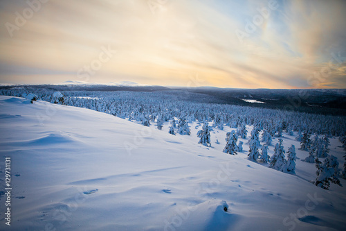 Winter Finnish snowy lanscape
