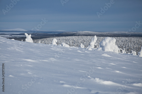 Winter Finnish snowy lanscape