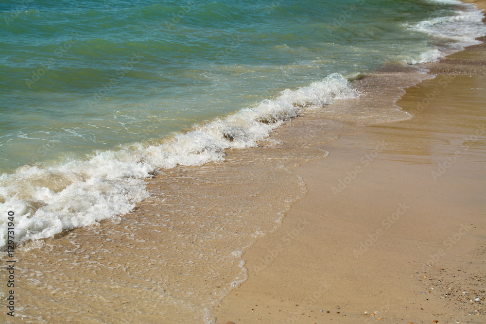 sand of beach sea