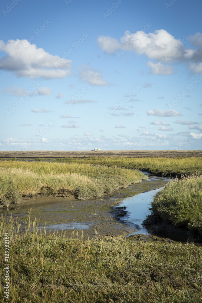 Maritime landscape with heathland, blue sky and cloud, Waddenzee, Friesland, The Netherlands Maritime landscape with heathland, blue sky and cloud, Waddenzee, Friesland, The Netherlands