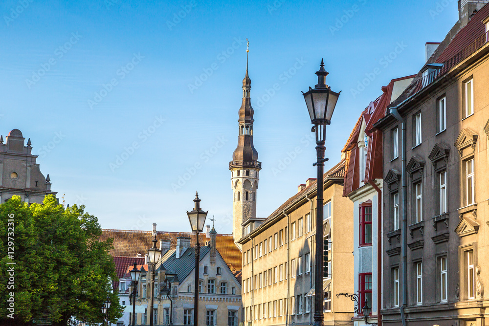 Obraz premium Tallinn Old Town in a beautiful summer day, Estonia