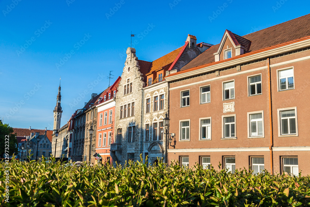 Tallinn Old Town in a beautiful summer day, Estonia