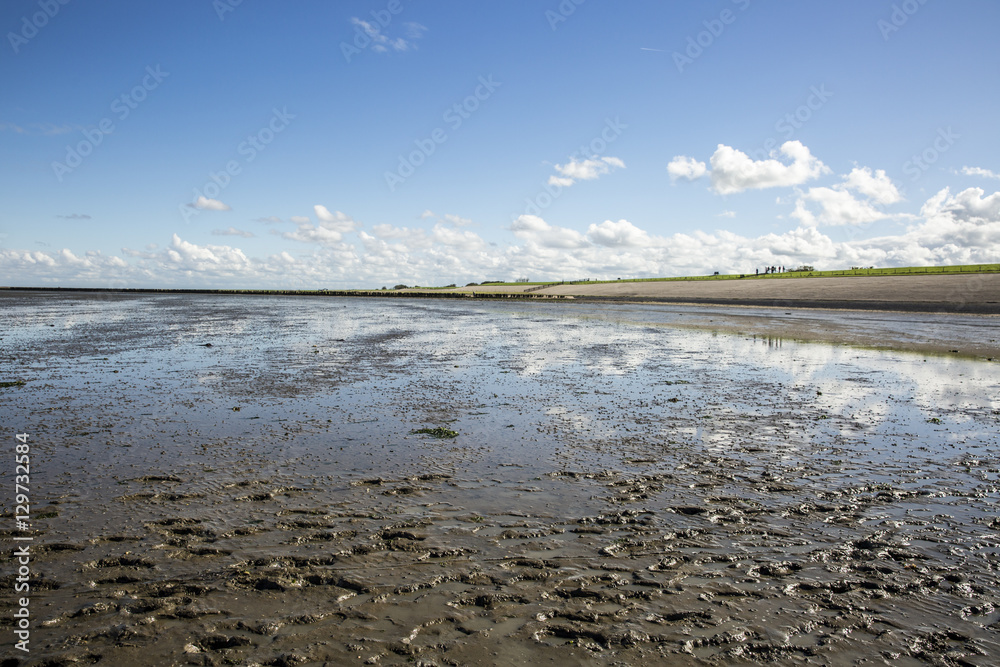 custom made wallpaper toronto digitalMaritime landscape with reflection of clouds in low tide water, Waddenzee, Friesland, The Netherlands