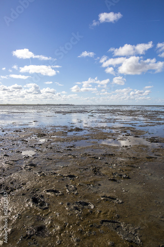 Maritime landscape with reflection of clouds in low tide water  Waddenzee  Friesland  The Netherlands