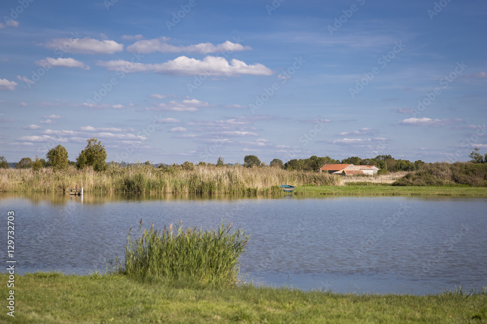 Fototapeta premium summer countryside scenery with a lake