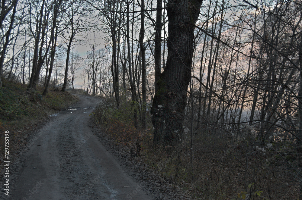 Obraz premium Strada di montagna